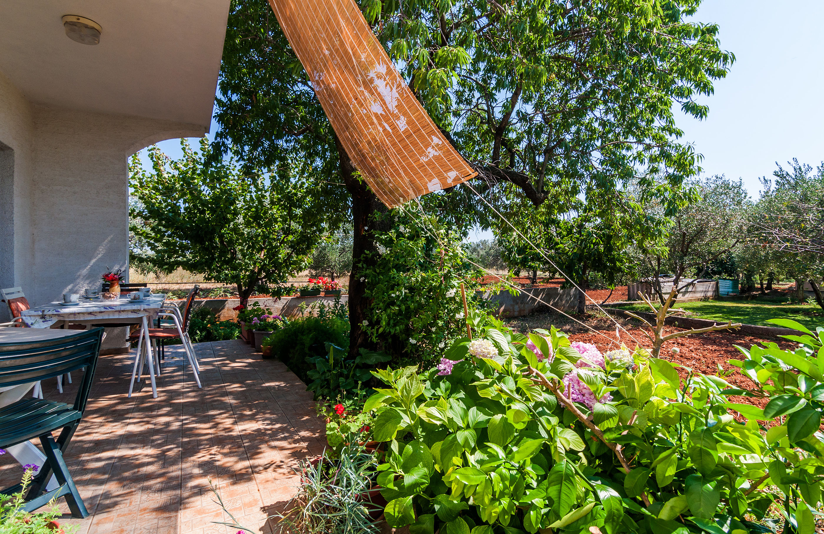 Photo of House Lidija