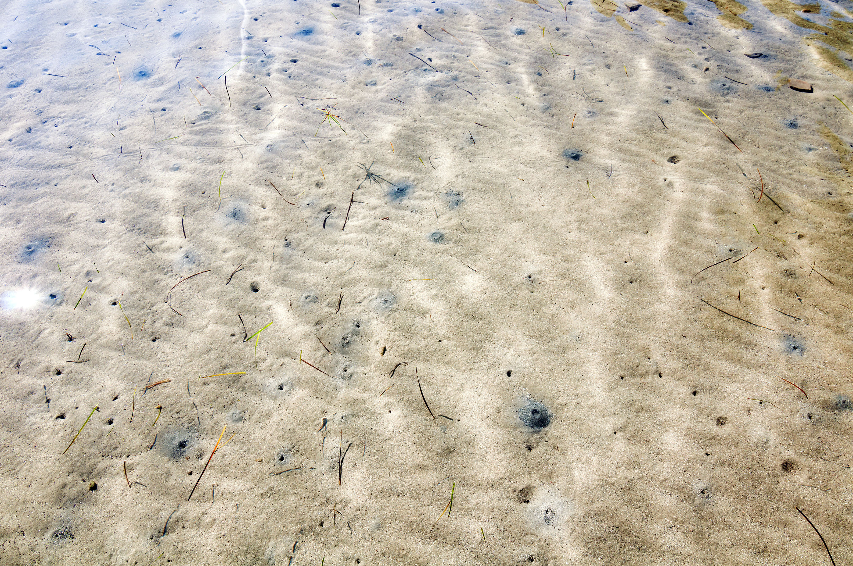 Photo of Apartments Punta