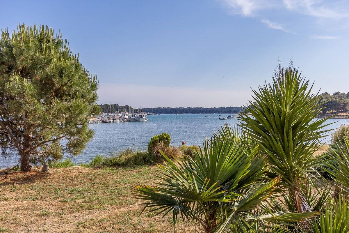 Apartments Brajdine 16811-A5