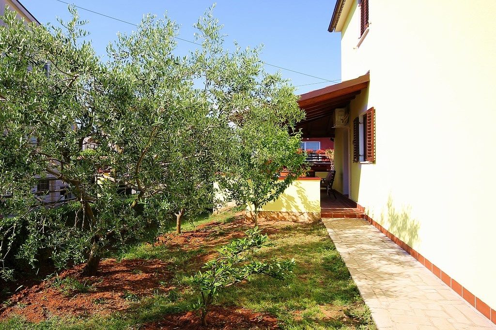 Apartment Casa Robi 73761-A1