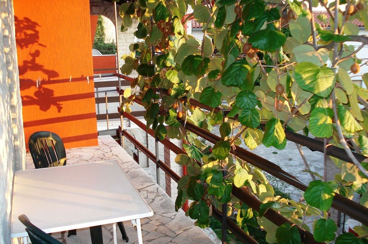 Casa Novi 16124-A1