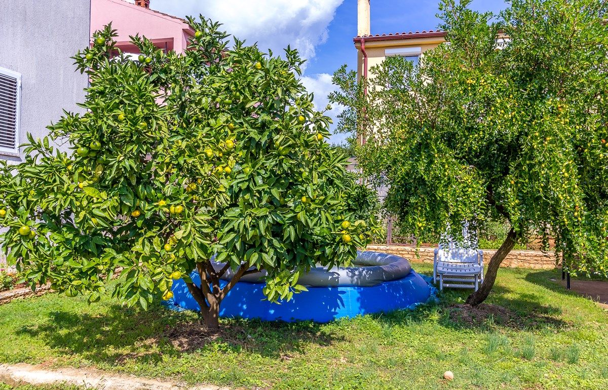 Apartment Casa Ziskovi 73831-A1