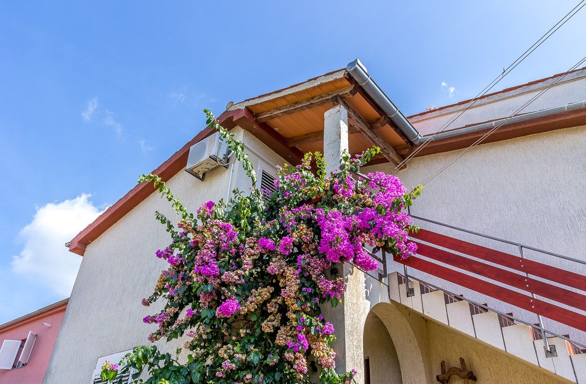 Apartment Casa Ziskovi 73831-A1