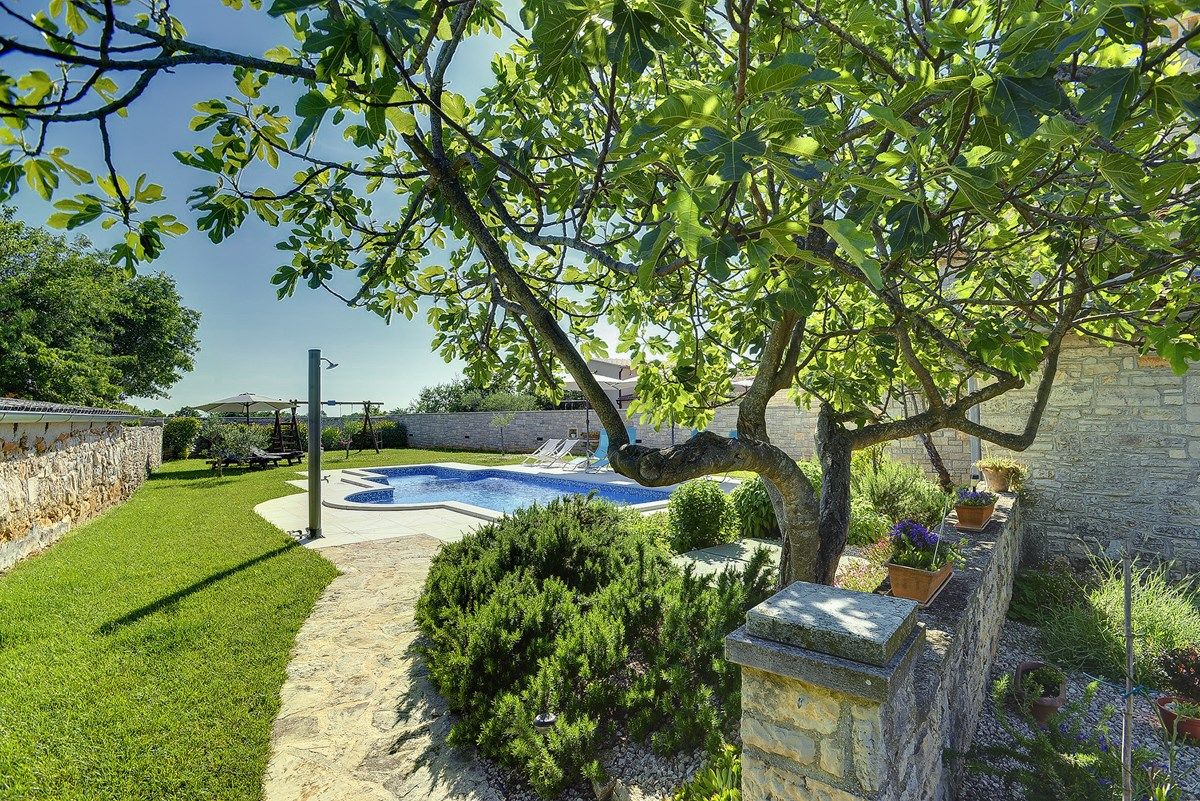 Villa Villa Orbanići V3456-K1