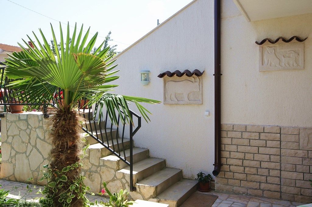 House Pifar 16255-A2