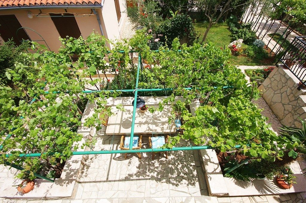House Pifar 16255-A2