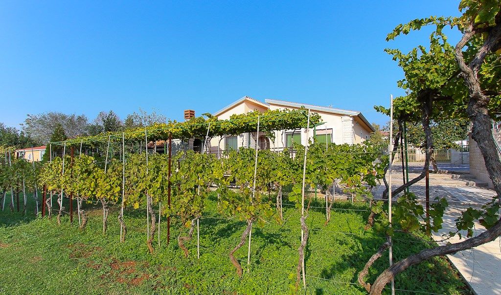 Casa Vlah 16433-A2