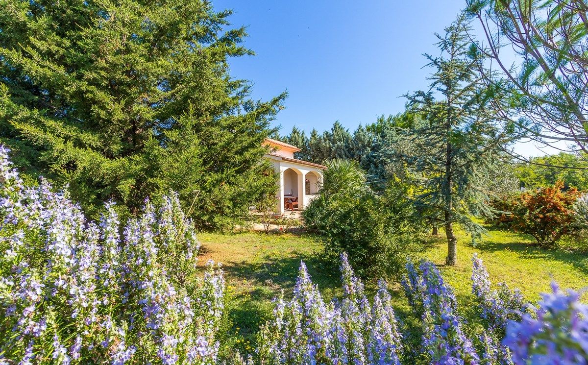 House Ondina 16469-K1