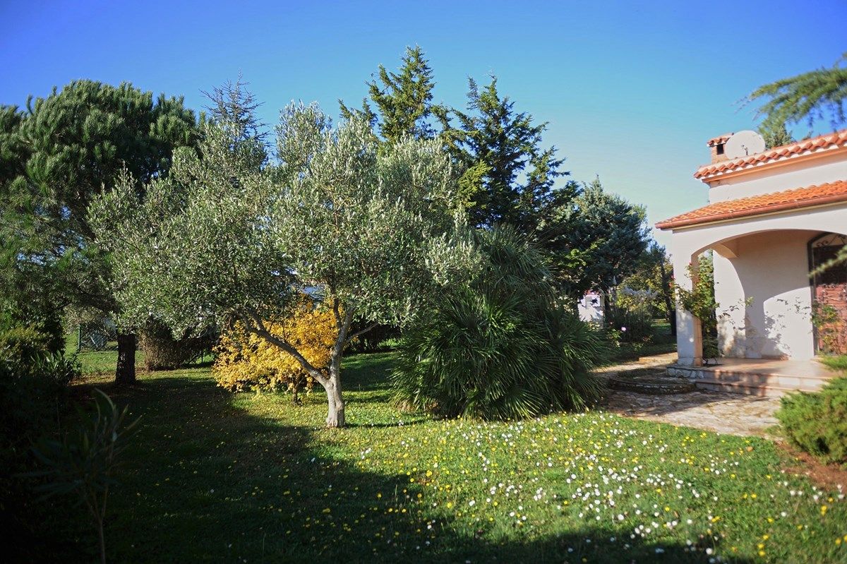 House Ondina 16469-K1