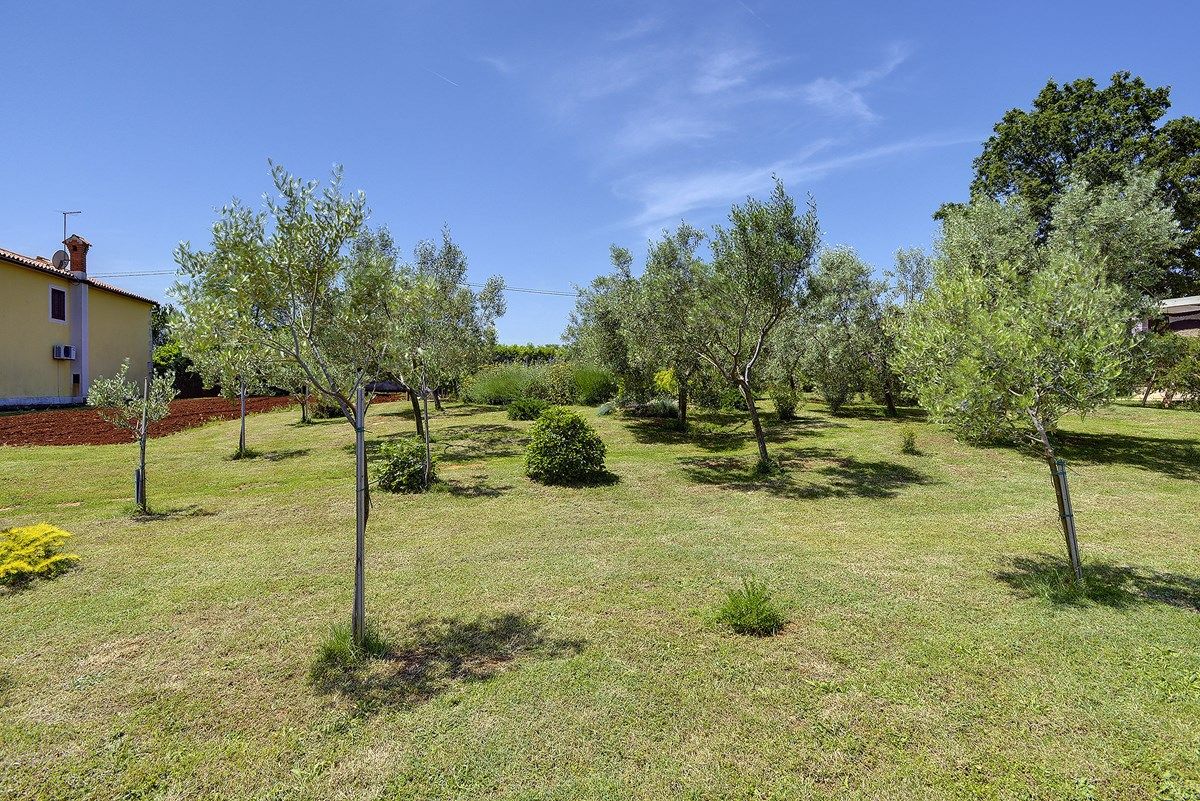 Casa Martina 73533-K1