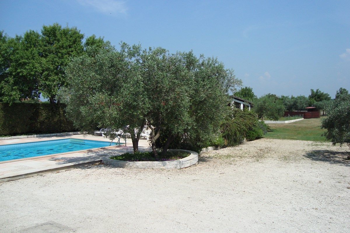 Casa Branka 73556-A1