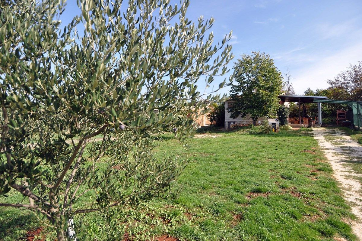Casa Nena 73637-K1