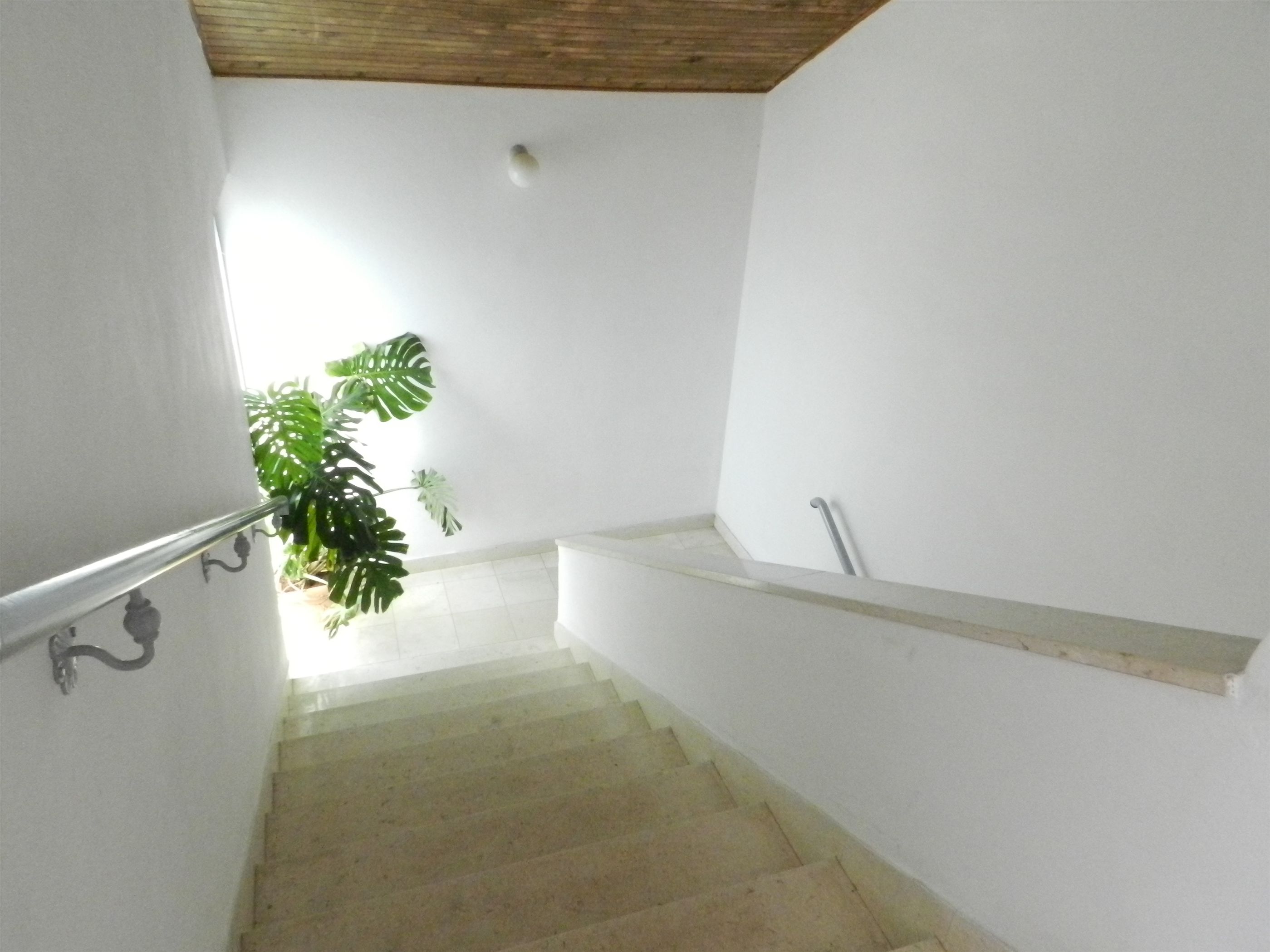 Photo of Apartments Nella