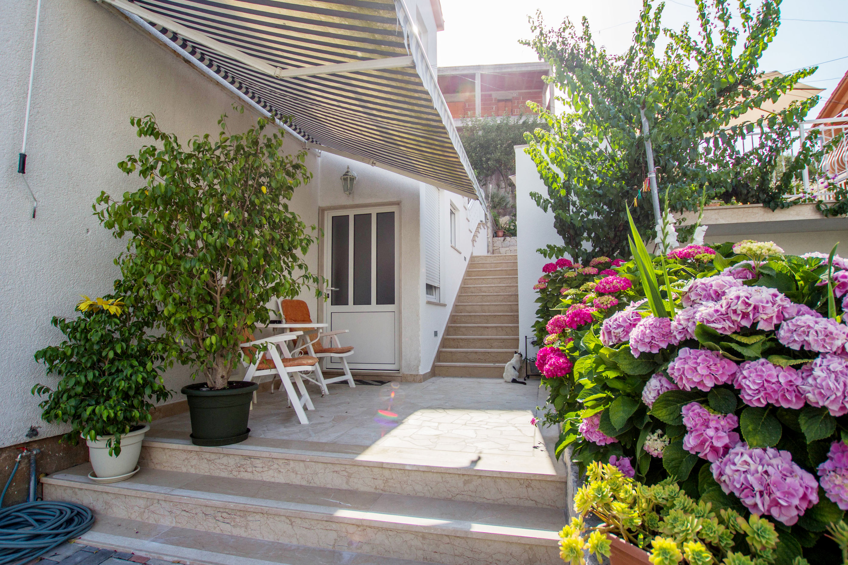 Apartments Marko 49991-A1
