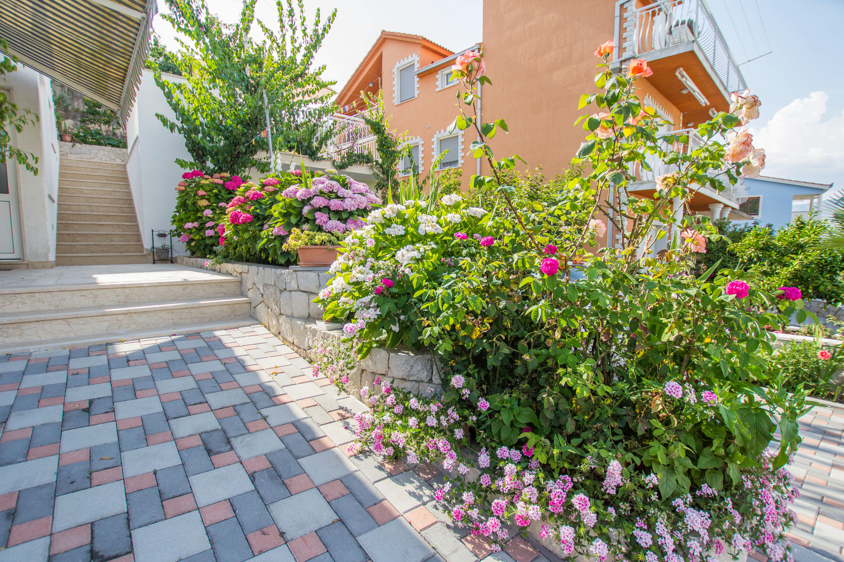 Apartments Marko 49991-A1