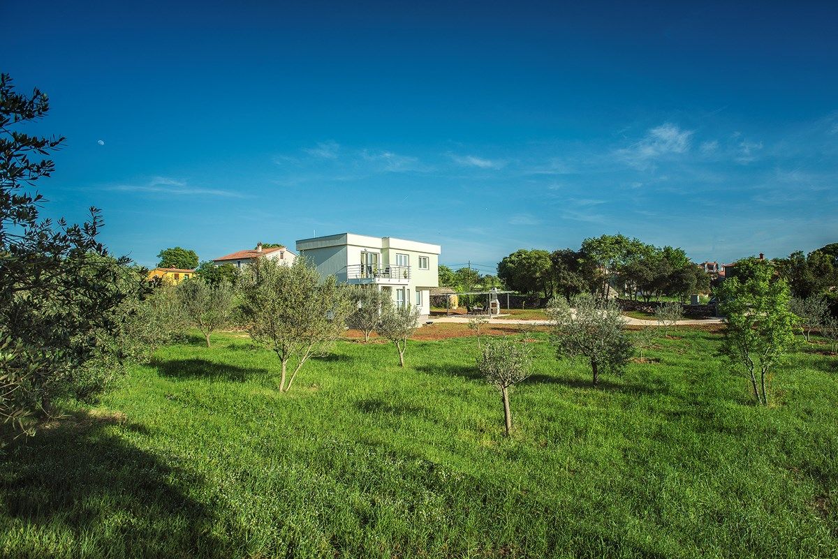 Casa Bellissima 73918-K1