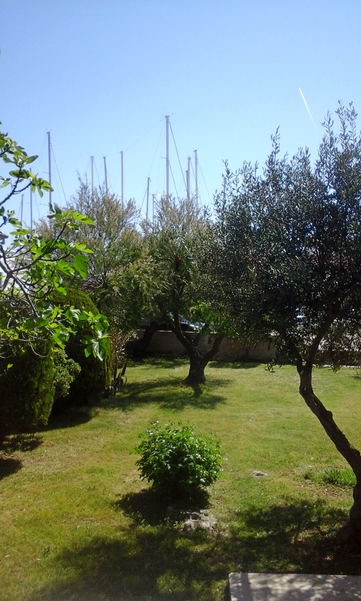 Apartment Benjamin 49941-A1