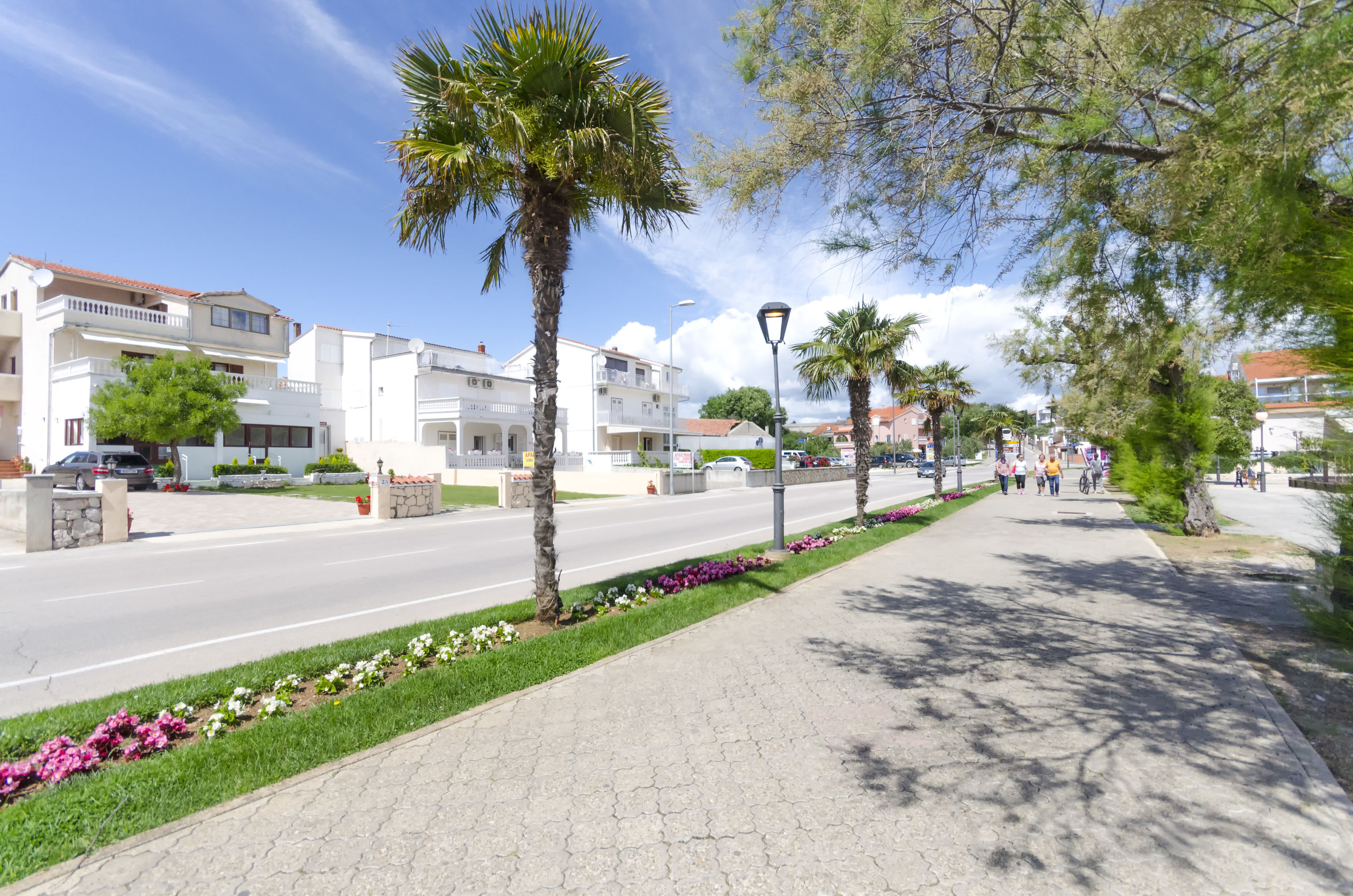 Apartment and Rooms Artina 25091-S4
