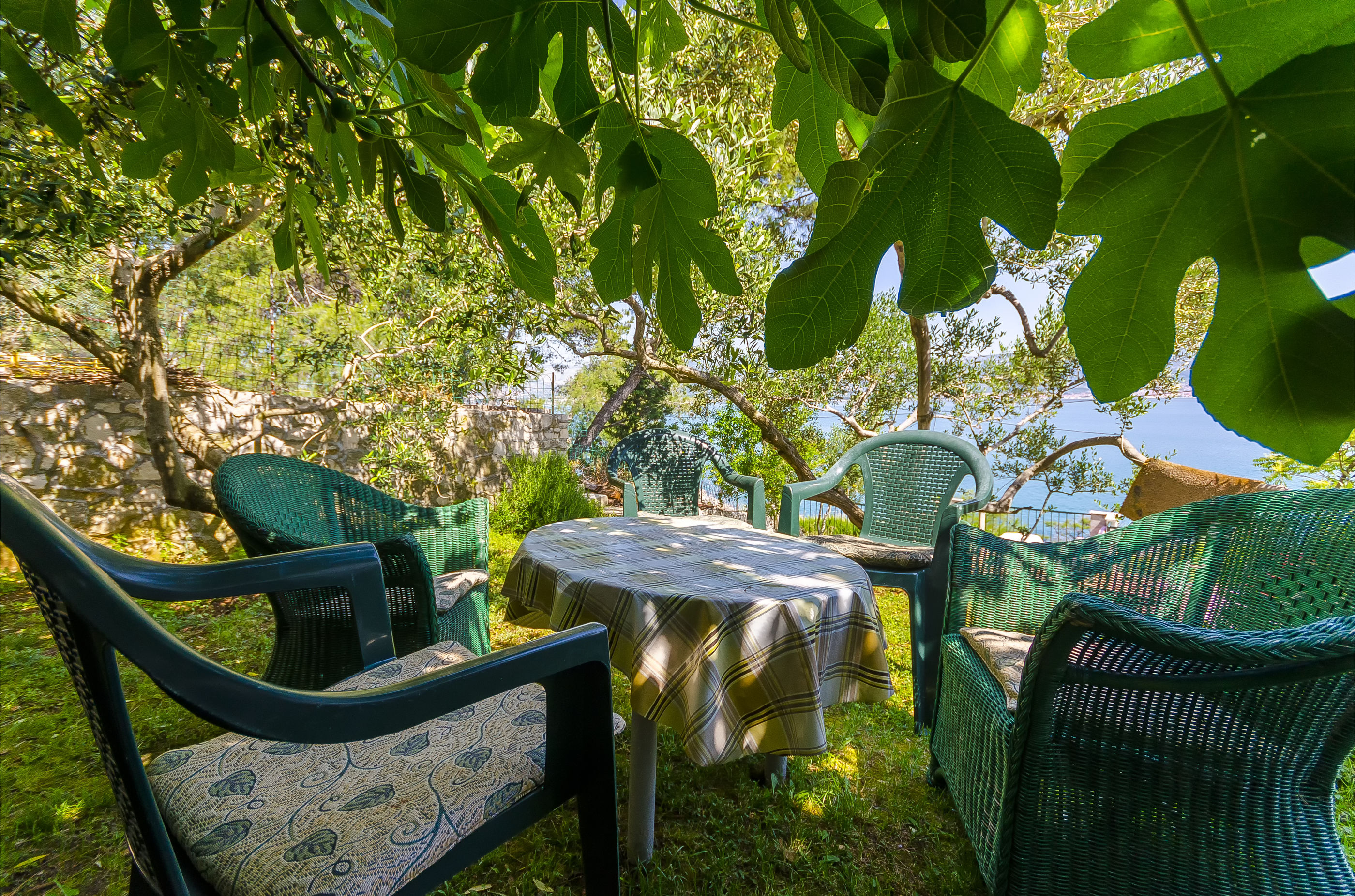 Apartments Dragica 41091-A2