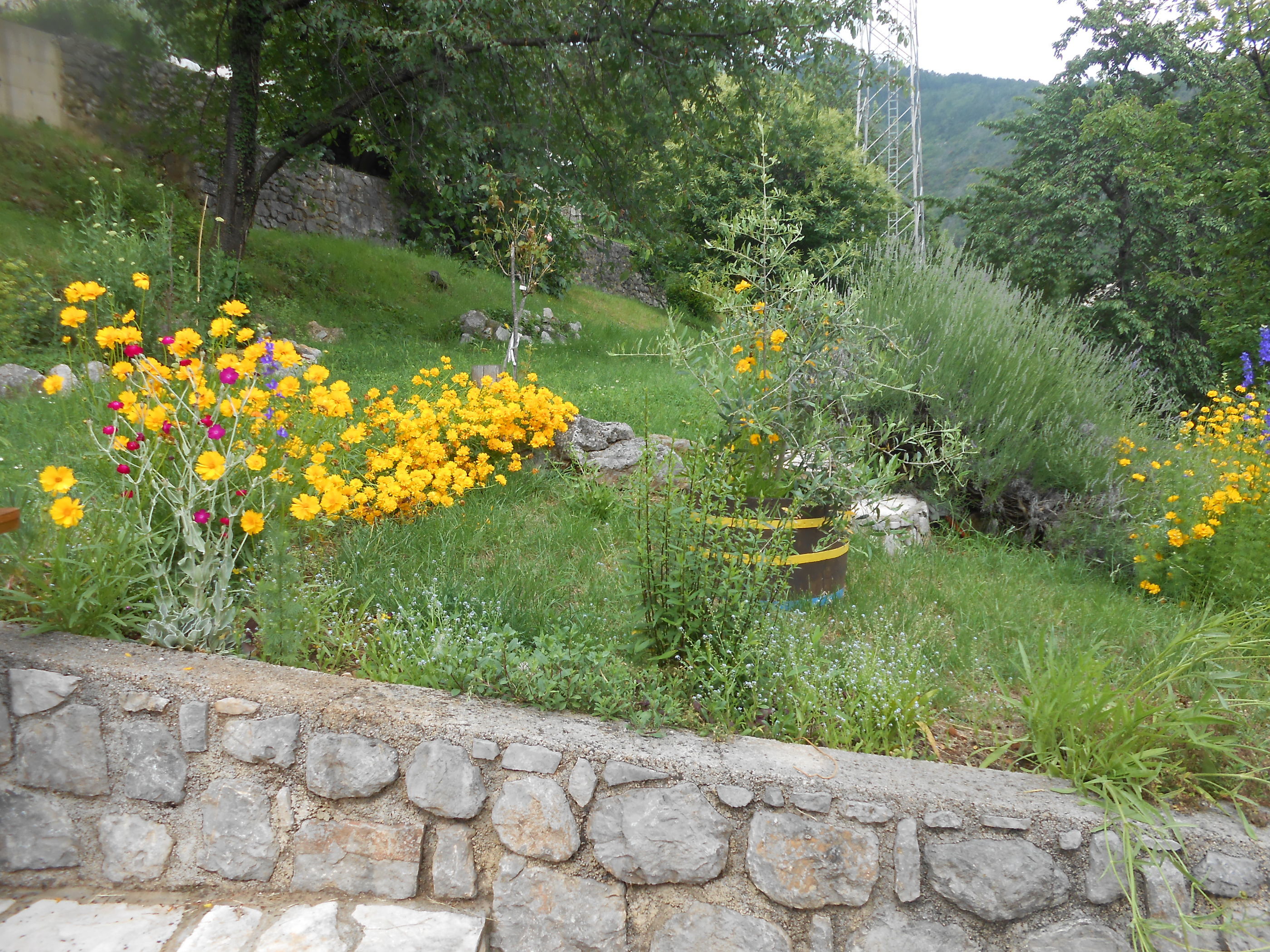 Apartments VESNA 51911-A1