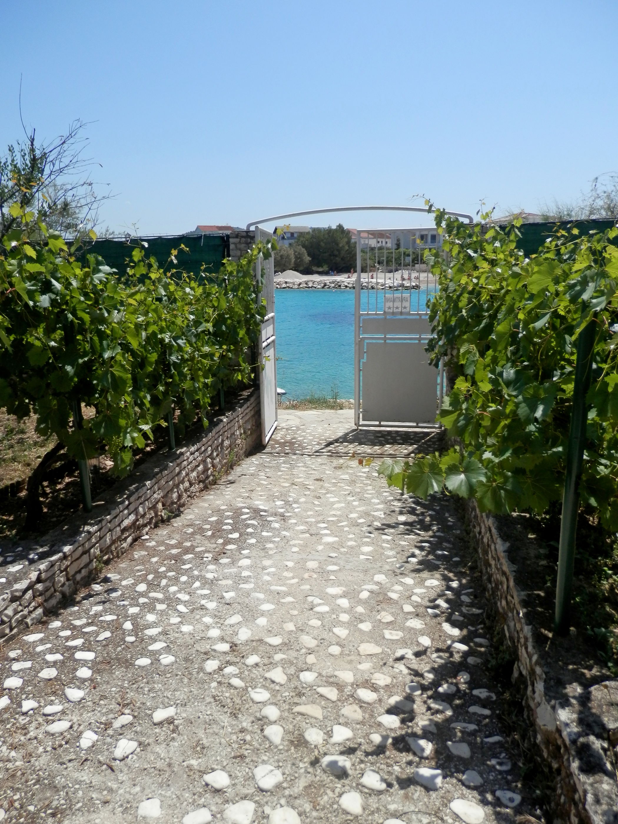 Apartments Živana 51931-A3