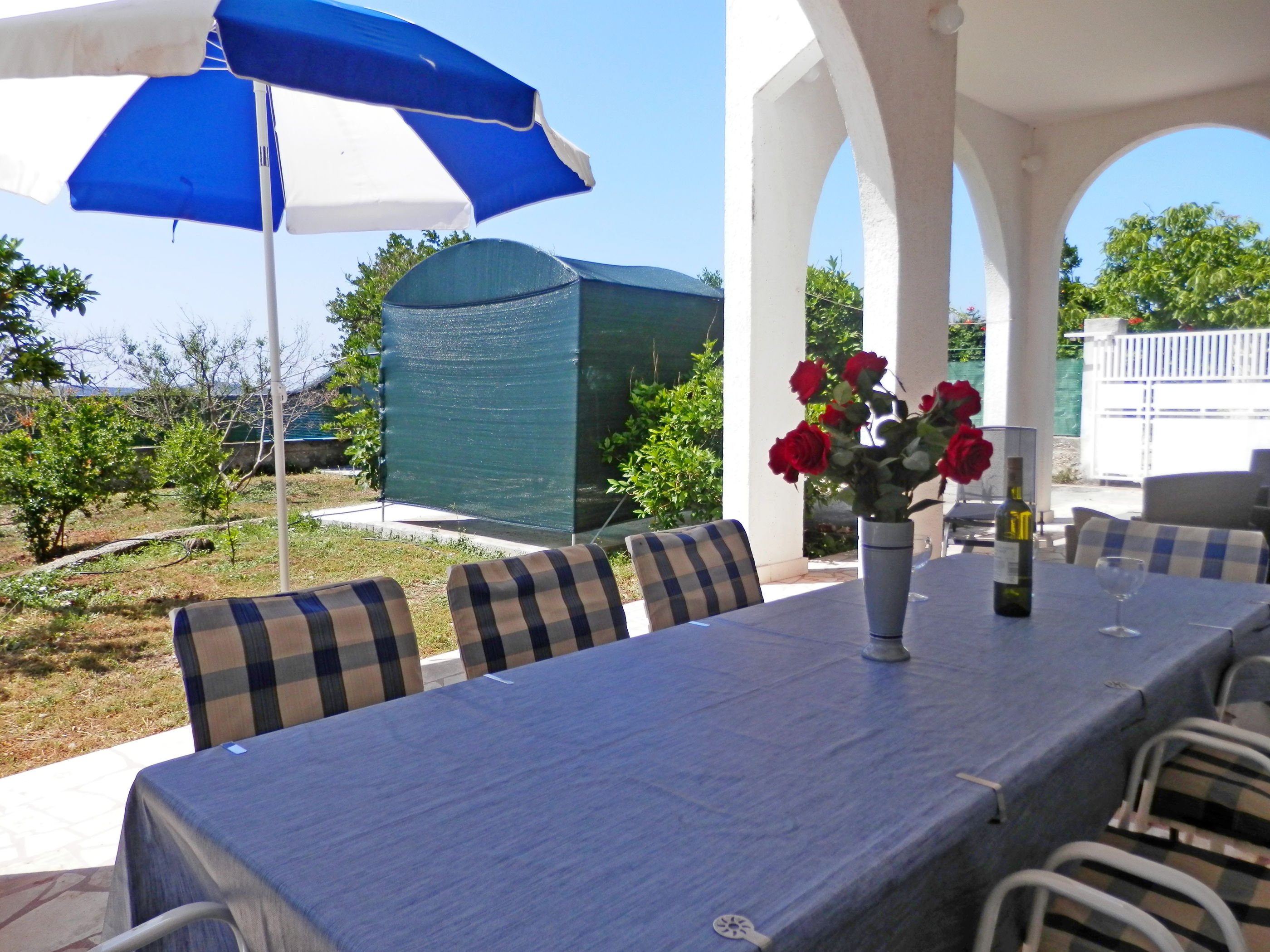 Apartments Živana 51931-A1