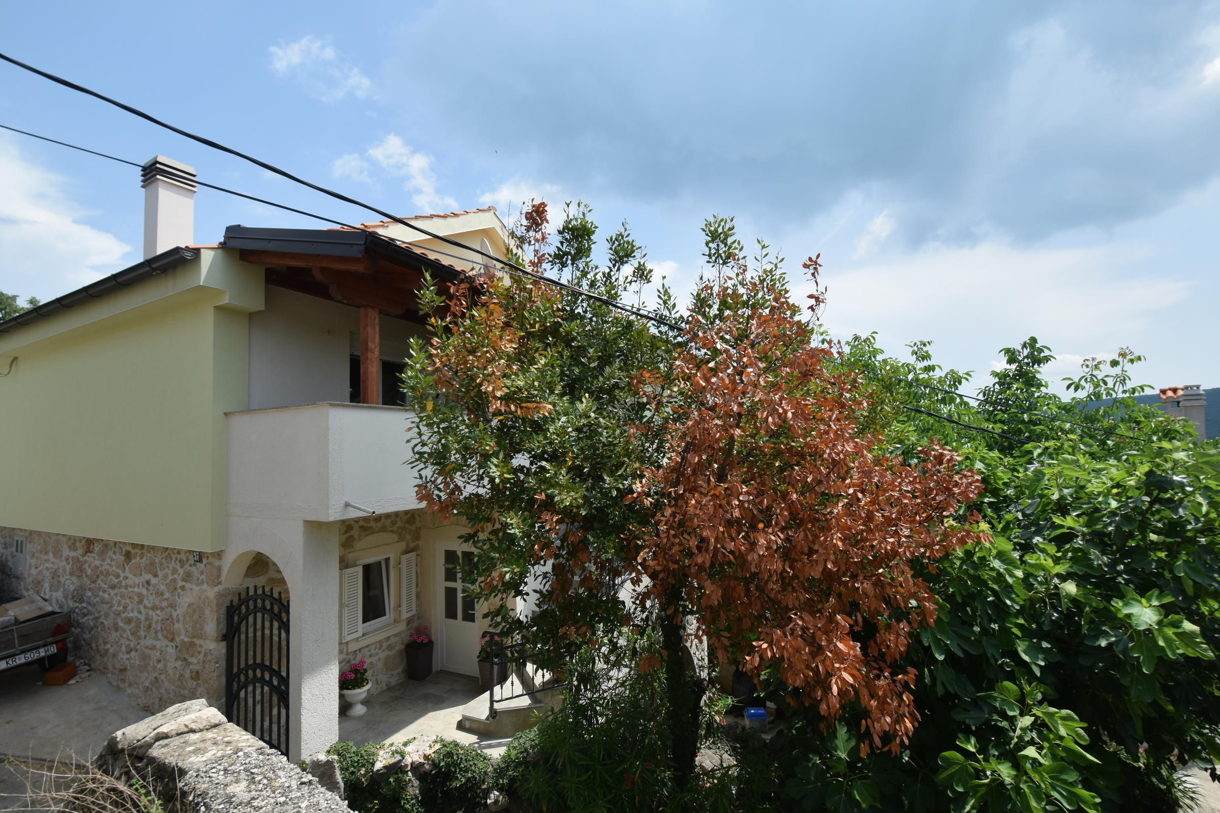 Apartment Neven 62074-A1