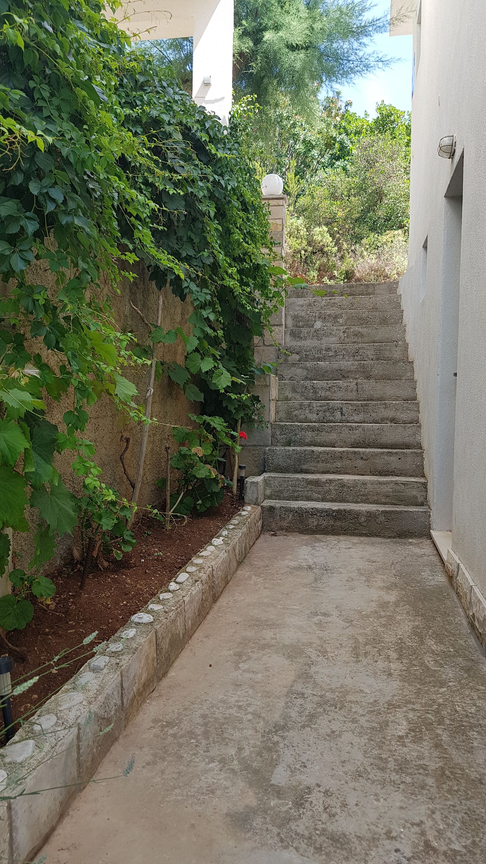 Apartments Teo i Ivana 53421-A2