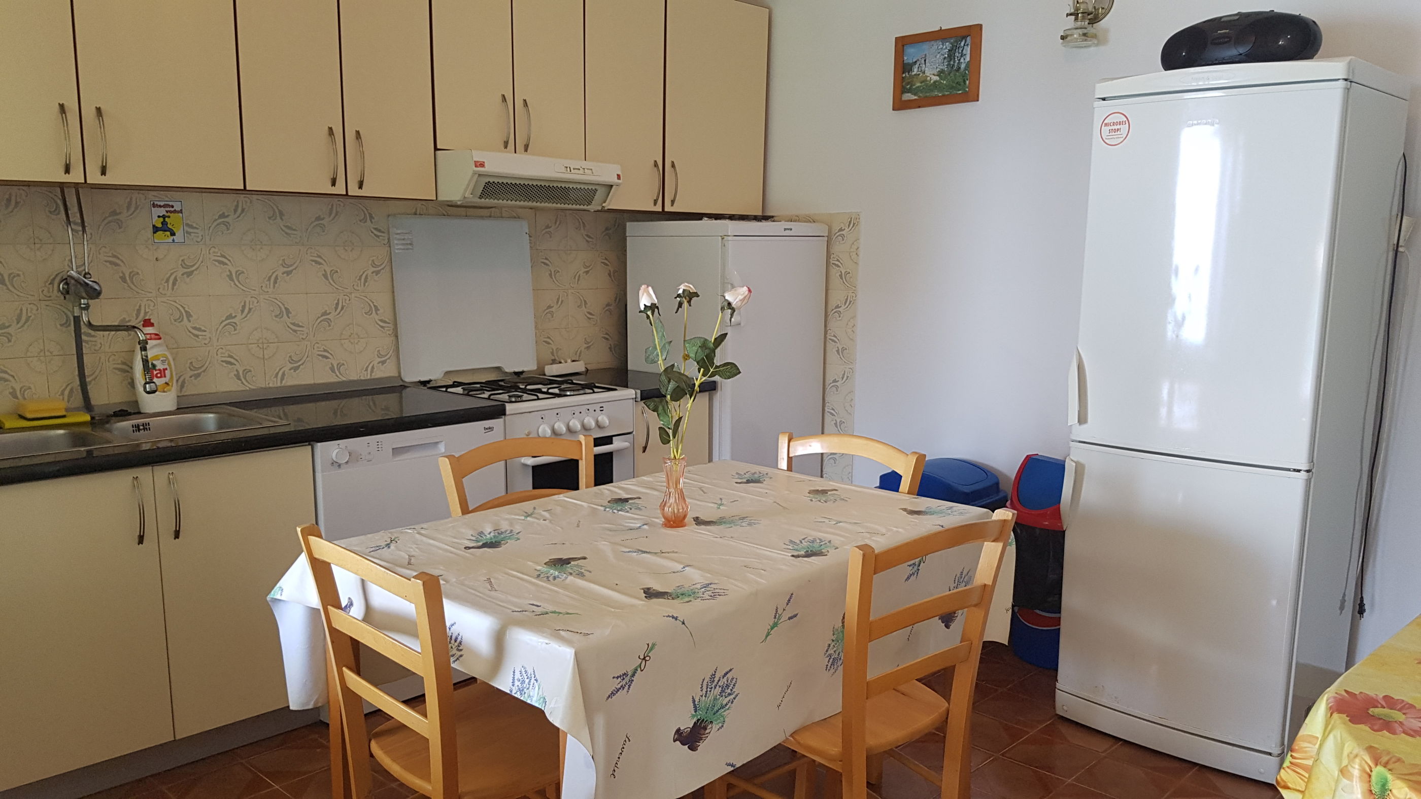 Apartments Teo i Ivana 53421-A1