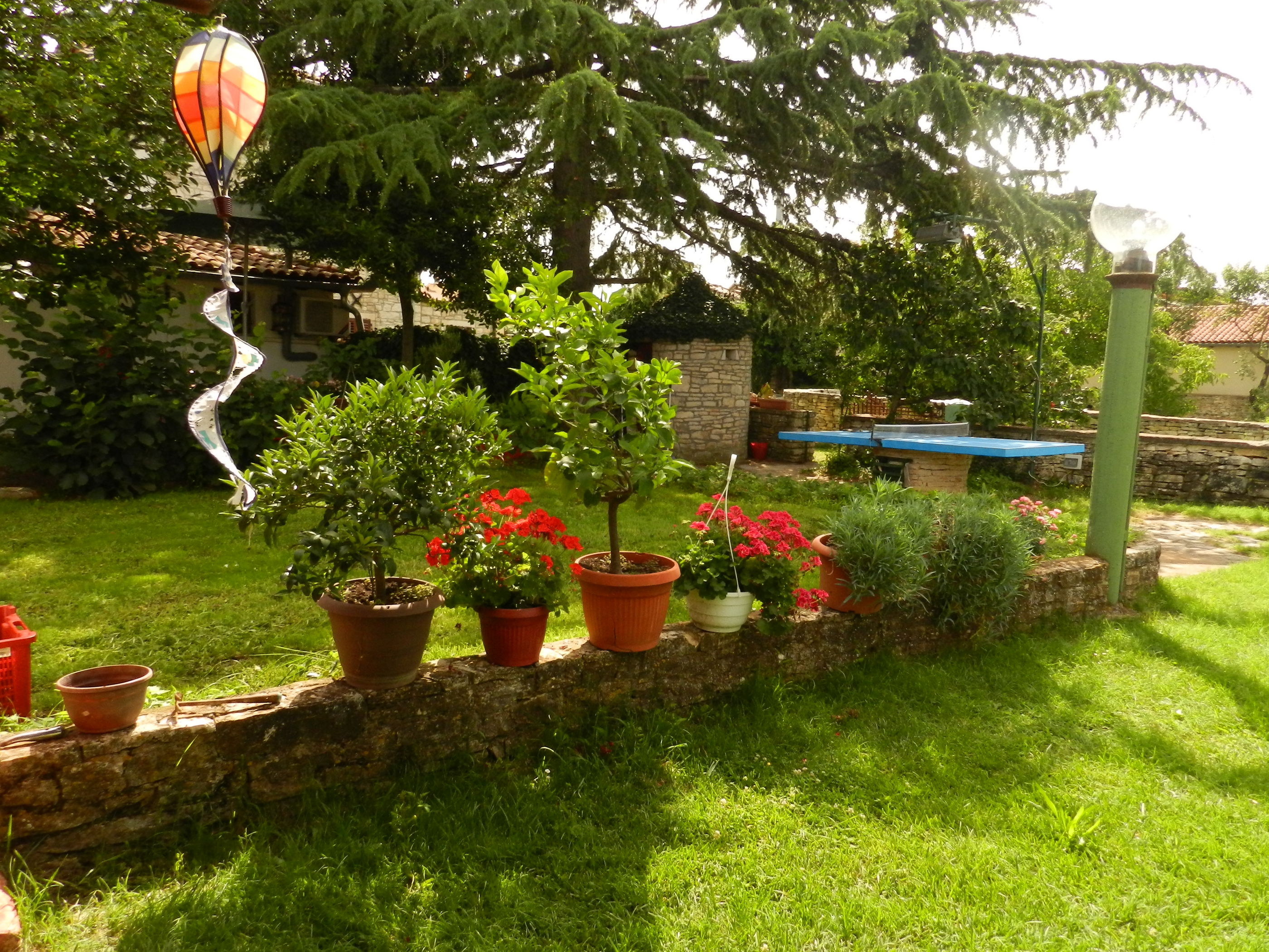 Apartment Amedea 45661-A2