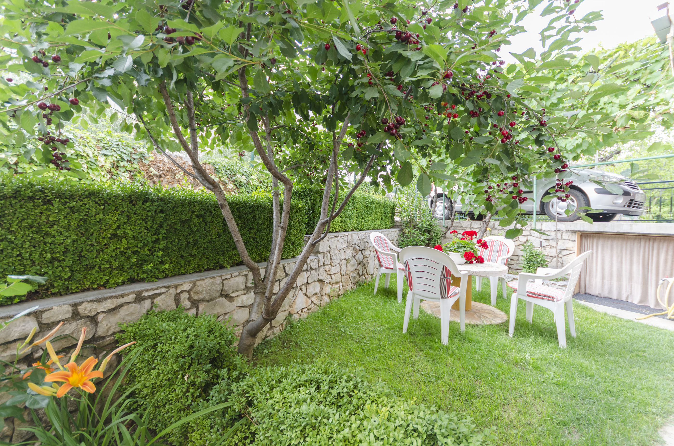 Apartment Peaceful green oasis 54961-A1