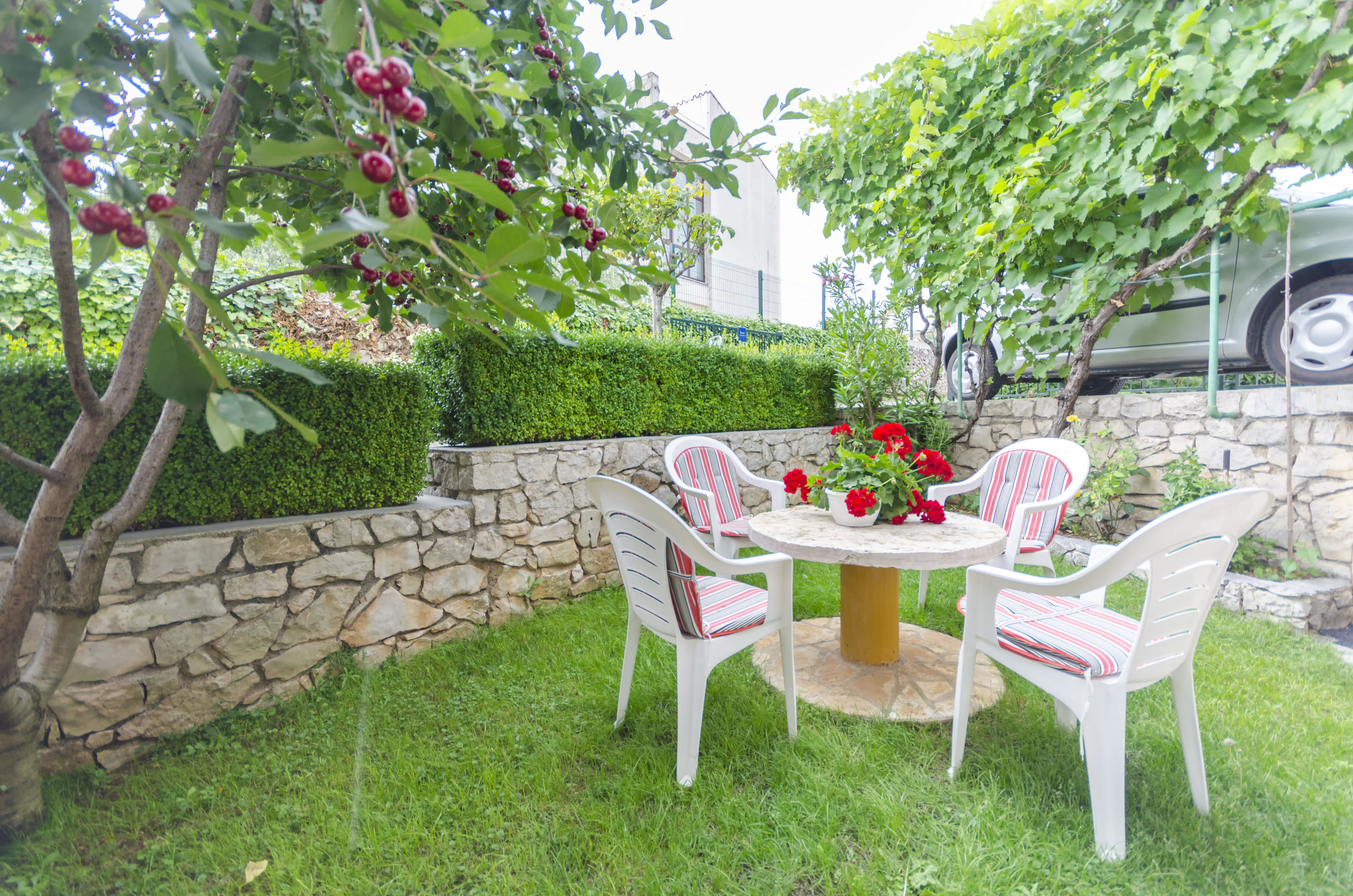 Apartment Peaceful green oasis 54961-A1