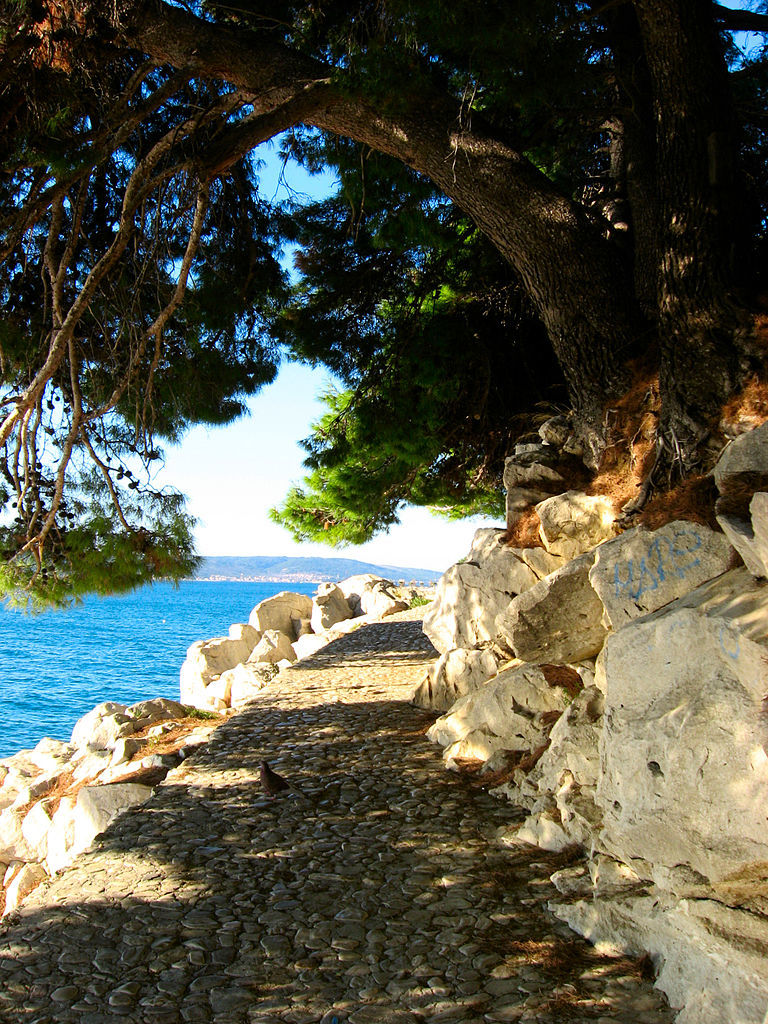 Photo of Apartment Ana