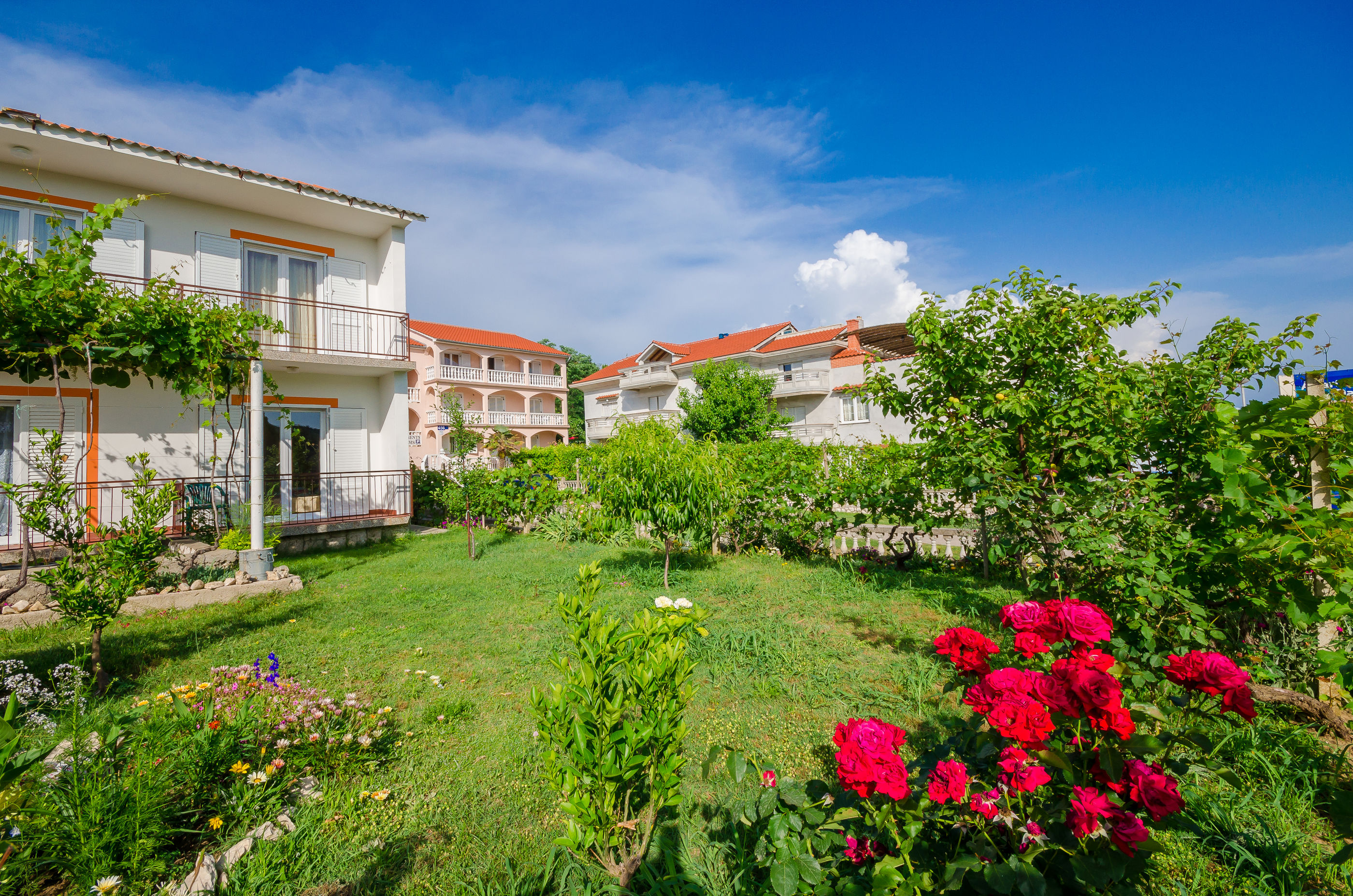 Apartments Joka 85881-A1