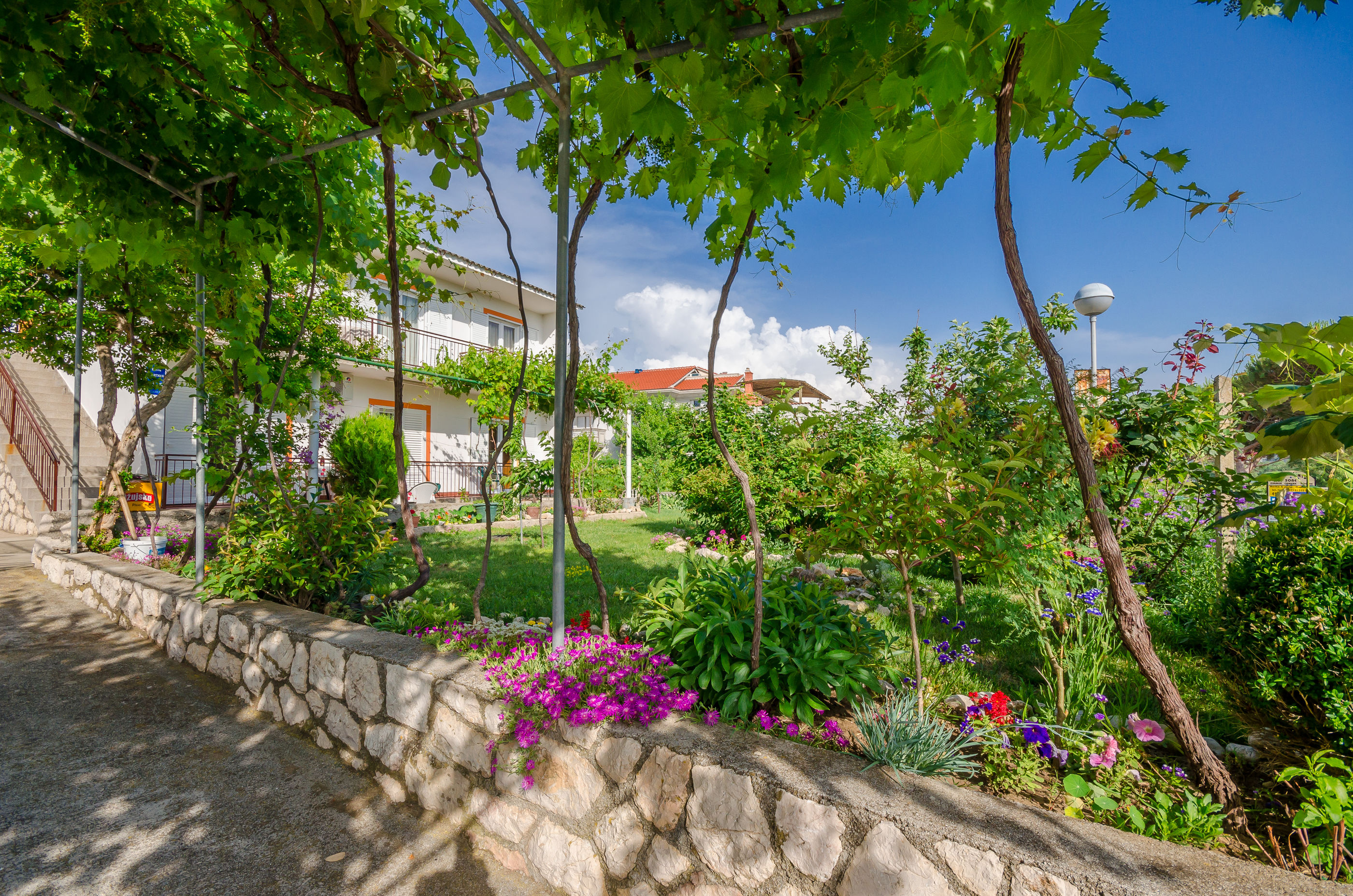 Apartments Joka 85881-A1