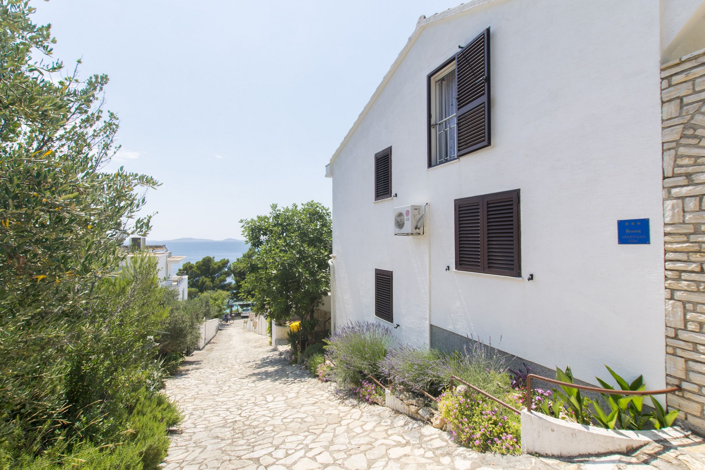 Apartment Branka 55391-A1
