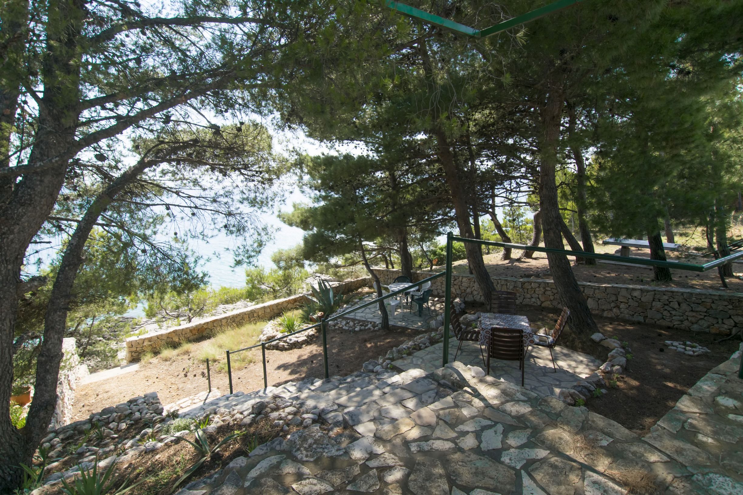 Apartment Branka 55391-A1