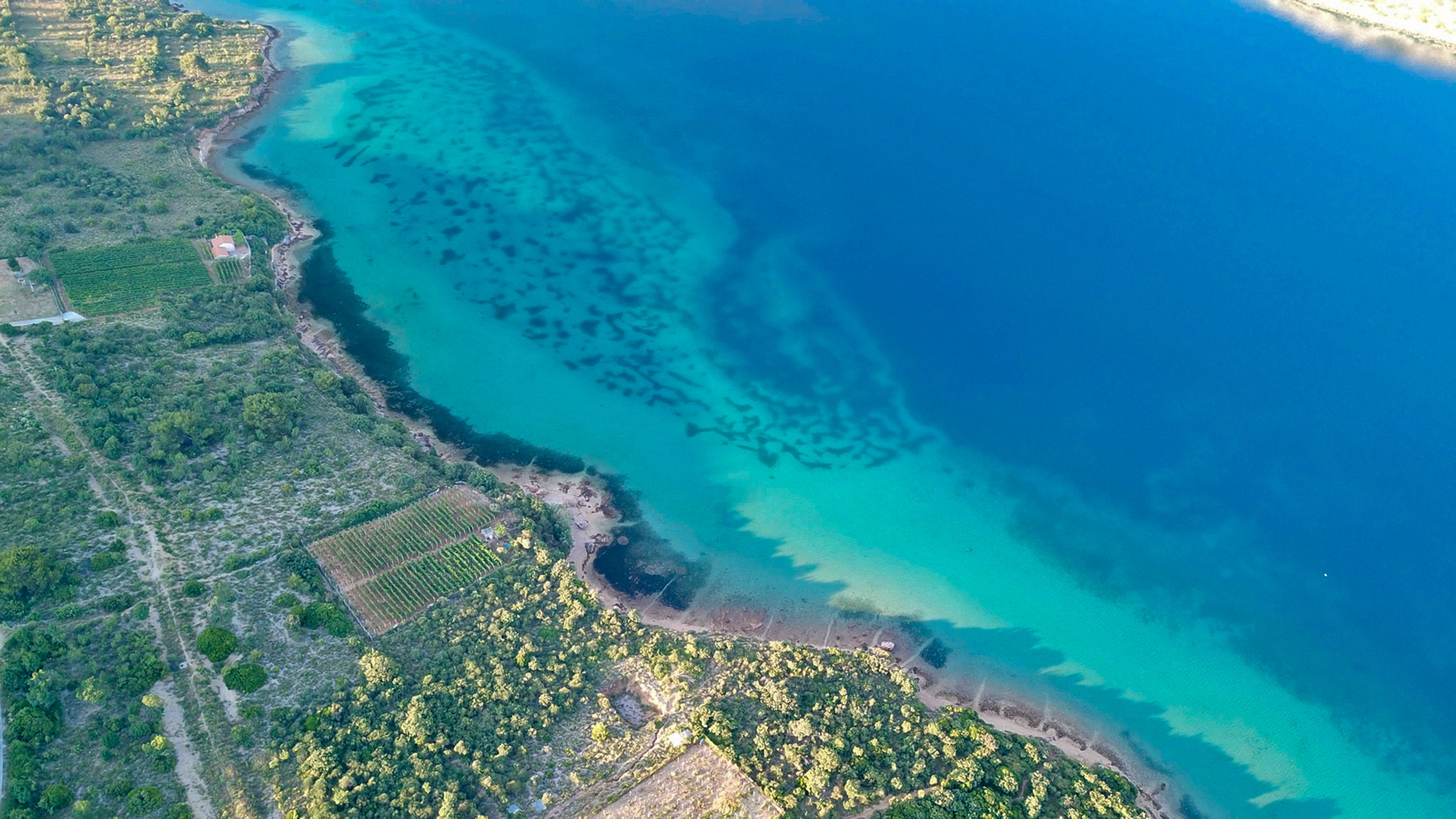 Photo of Apartments Jasmin