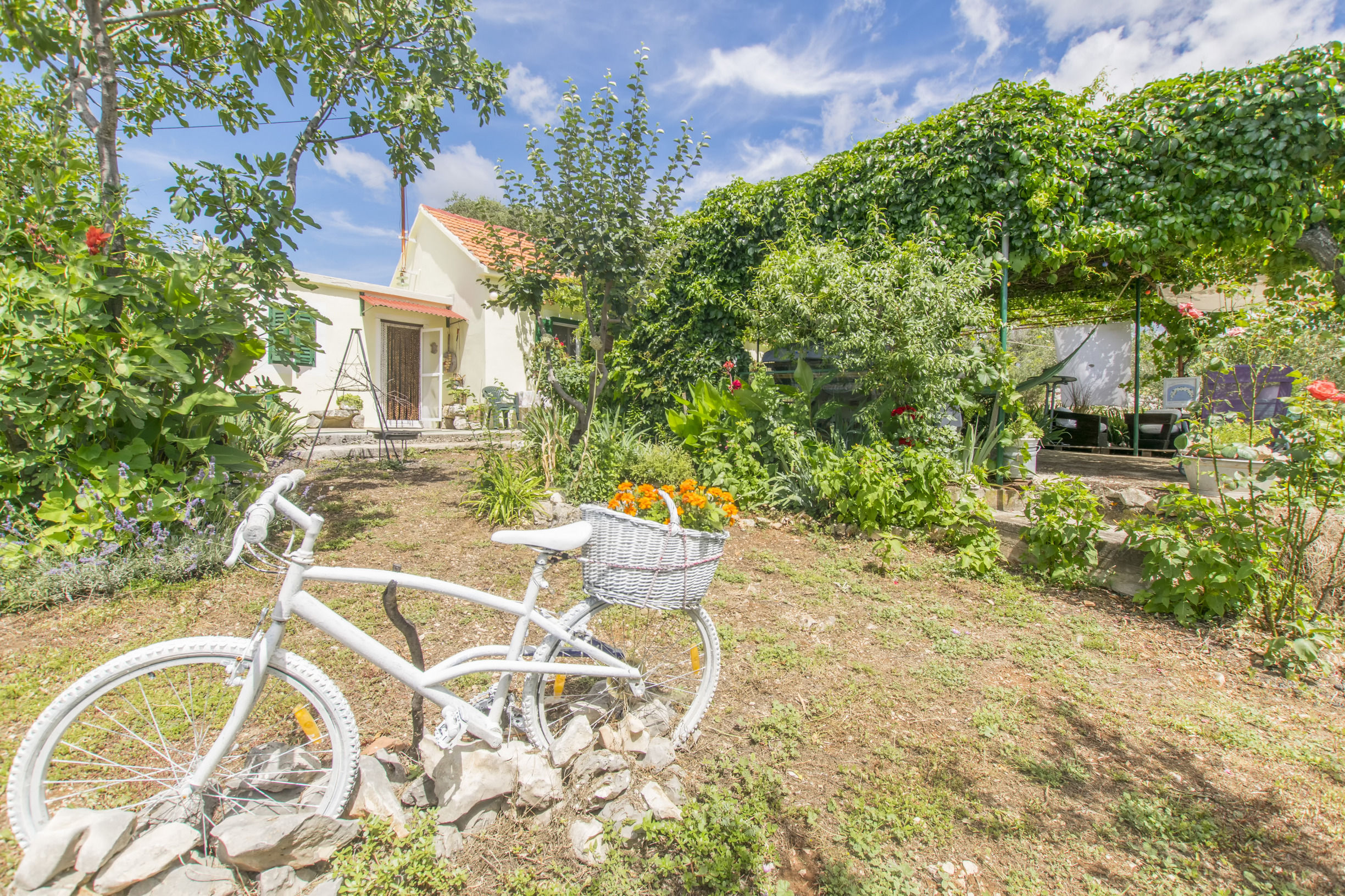 House Green Paradise 55981-K1
