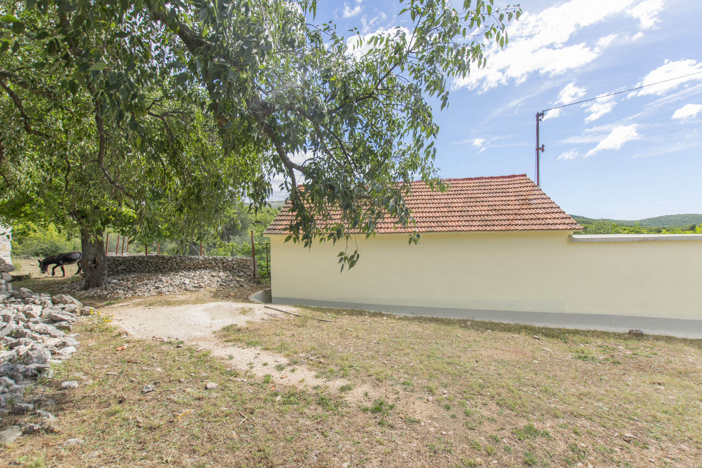 House Green Paradise 55981-K1