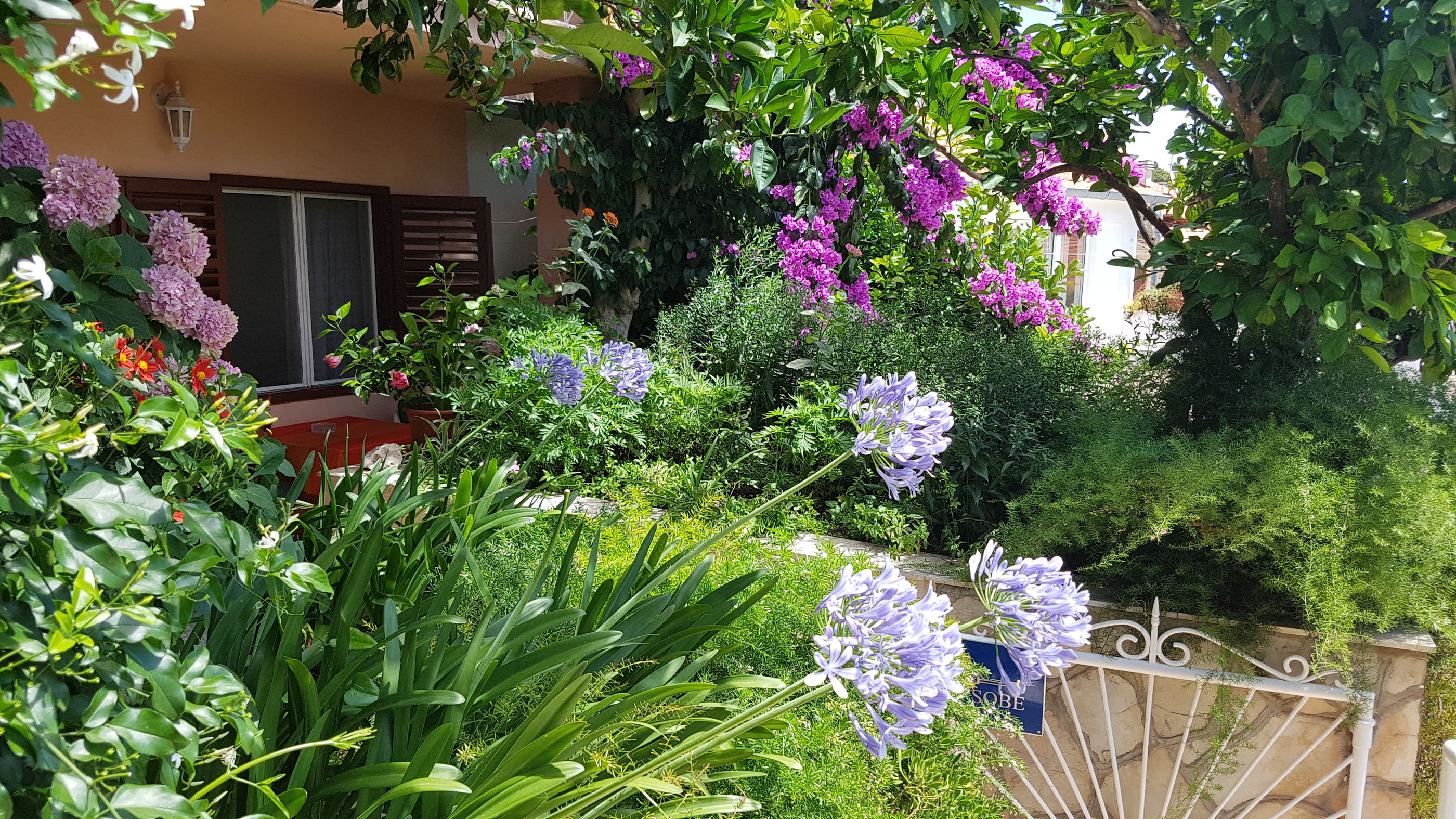 Rooms Roza 50421-S1