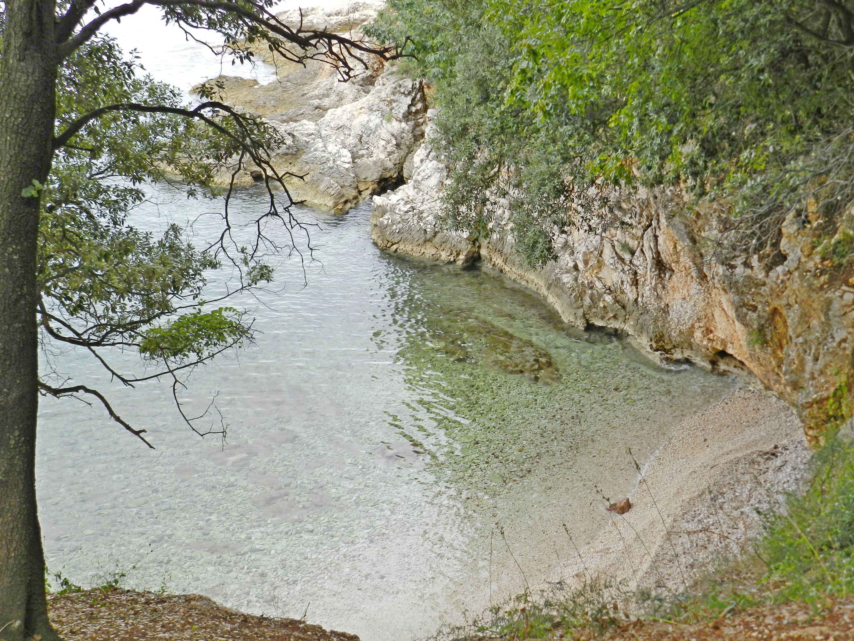 Photo of Apartment Maria