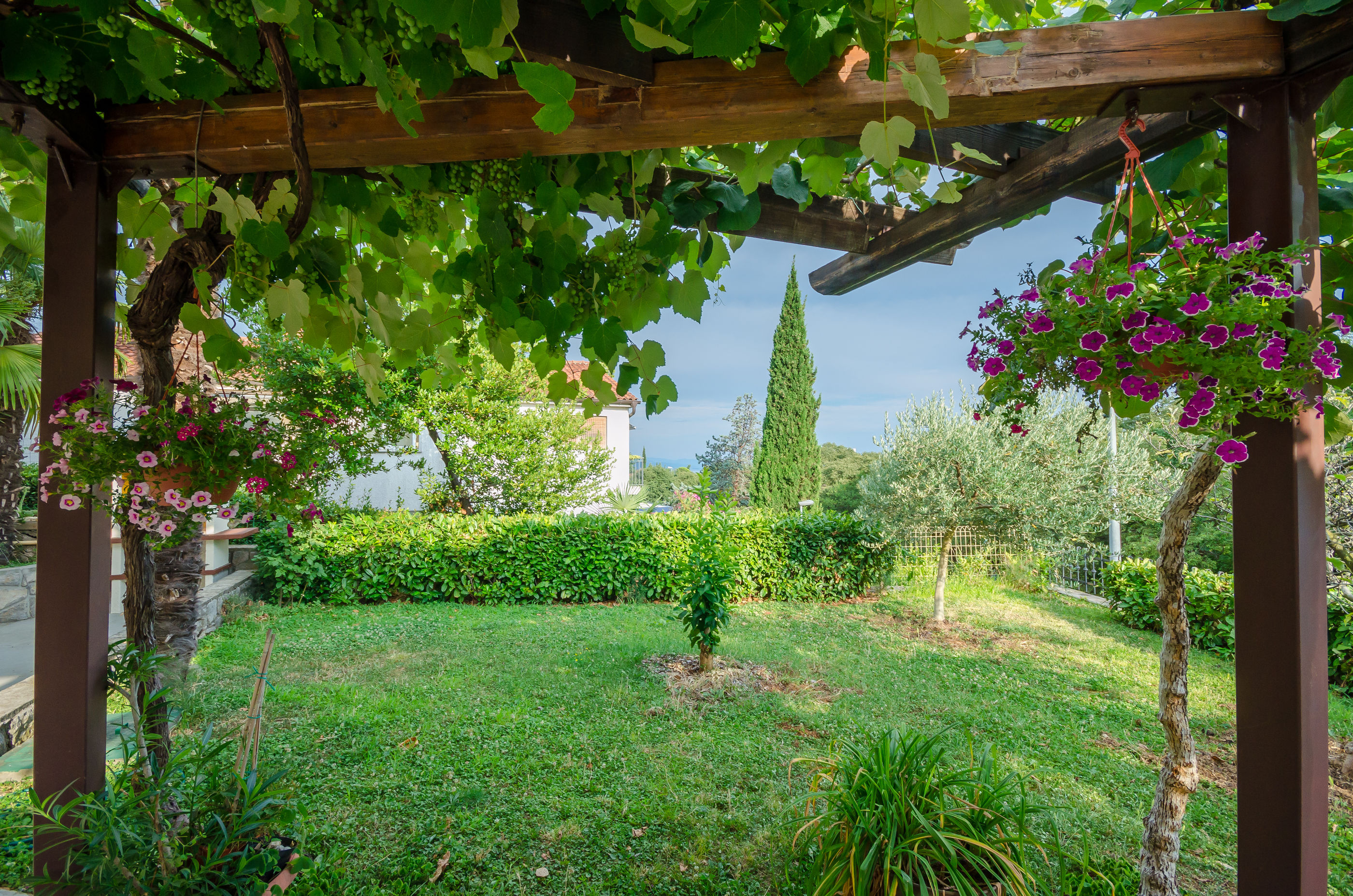 Apartment Aleksandra 86611-A1