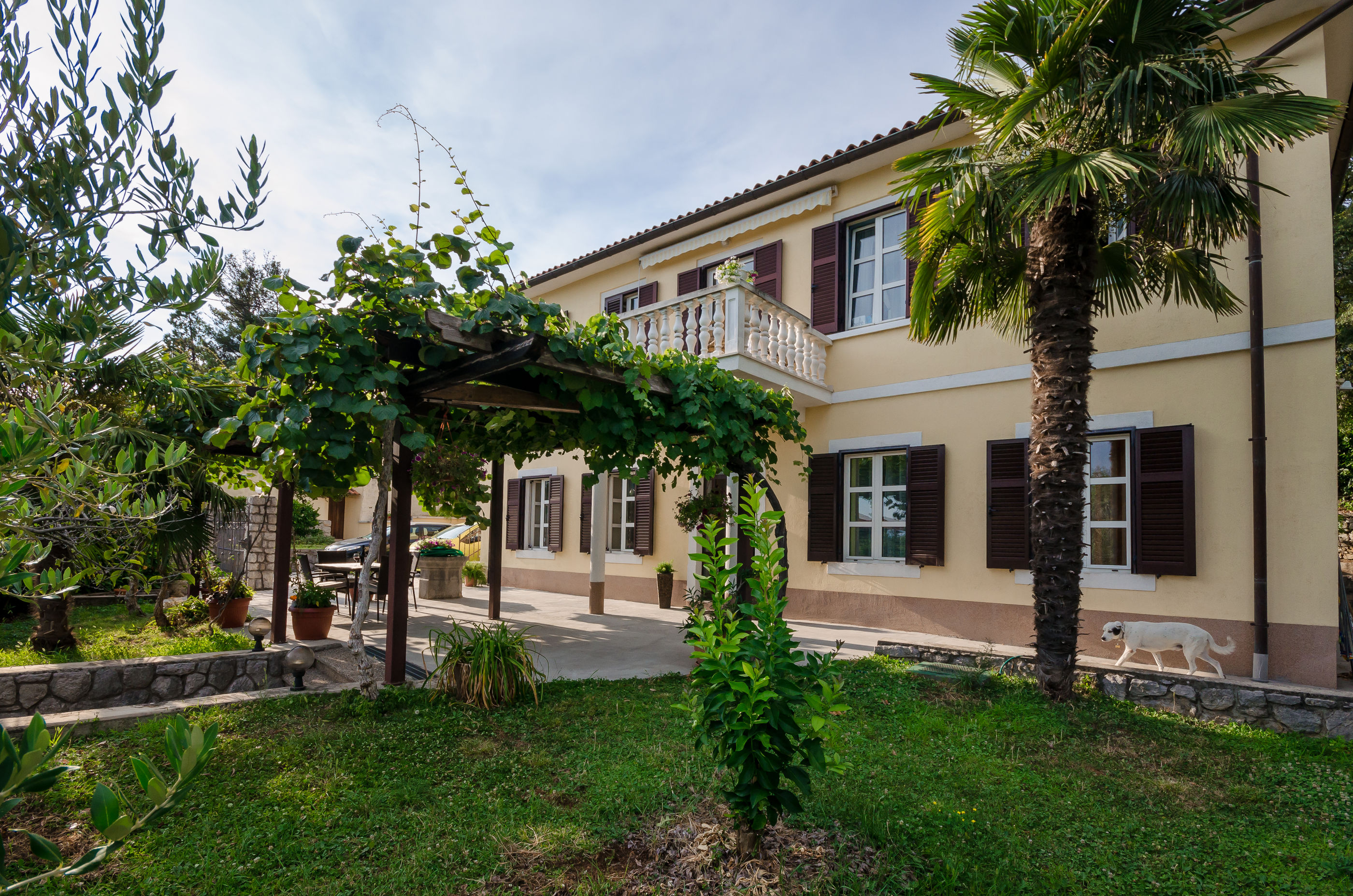 Apartment Aleksandra 86611-A1