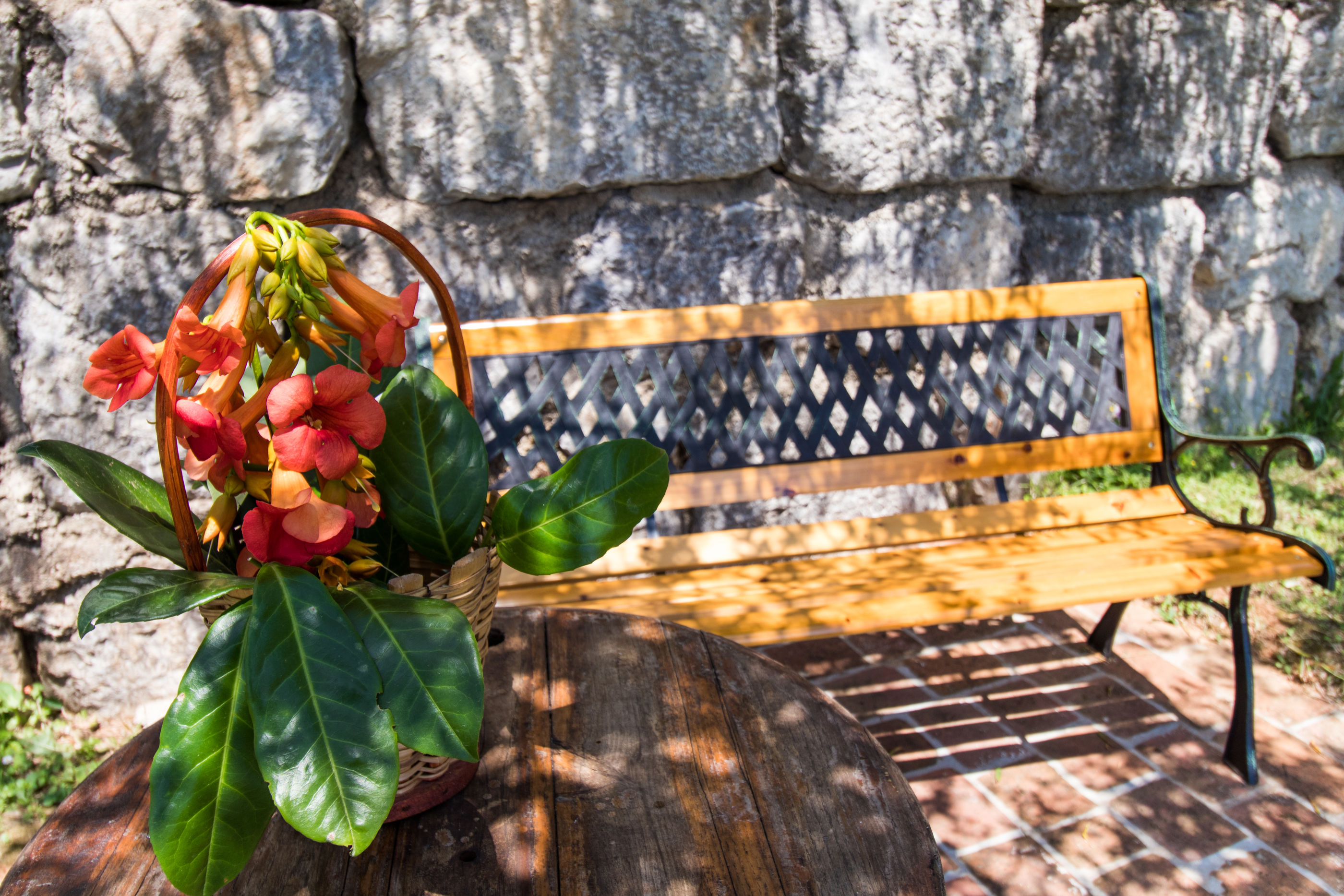 Photo of Apartments Vesna