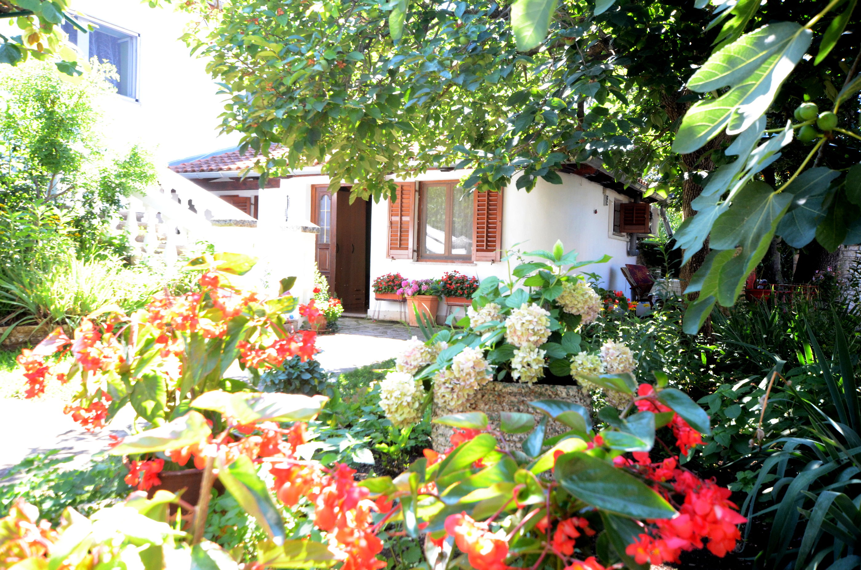 Apartment Amedea 45661-A2