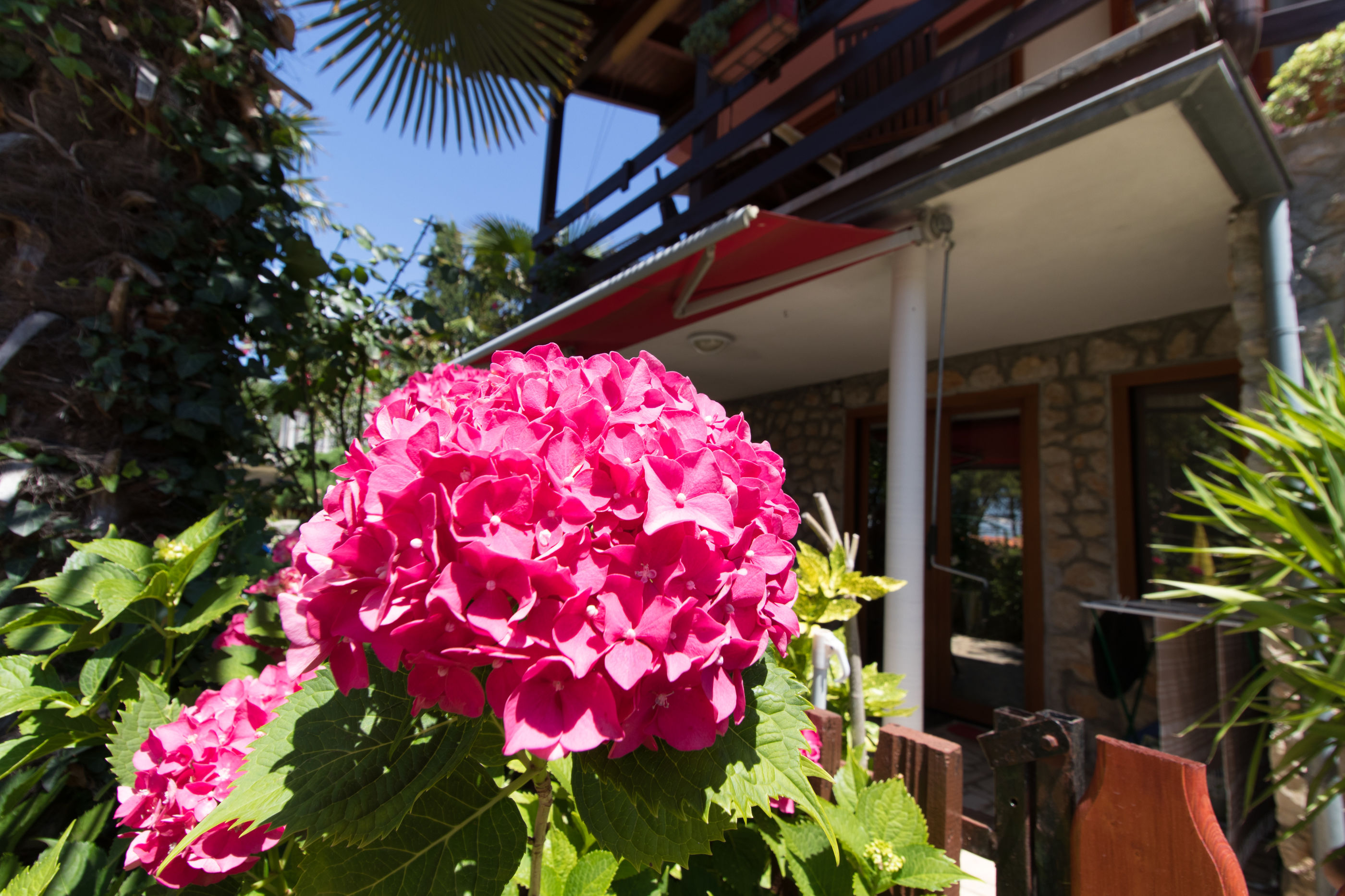 Apartment Paulina 60801-A1