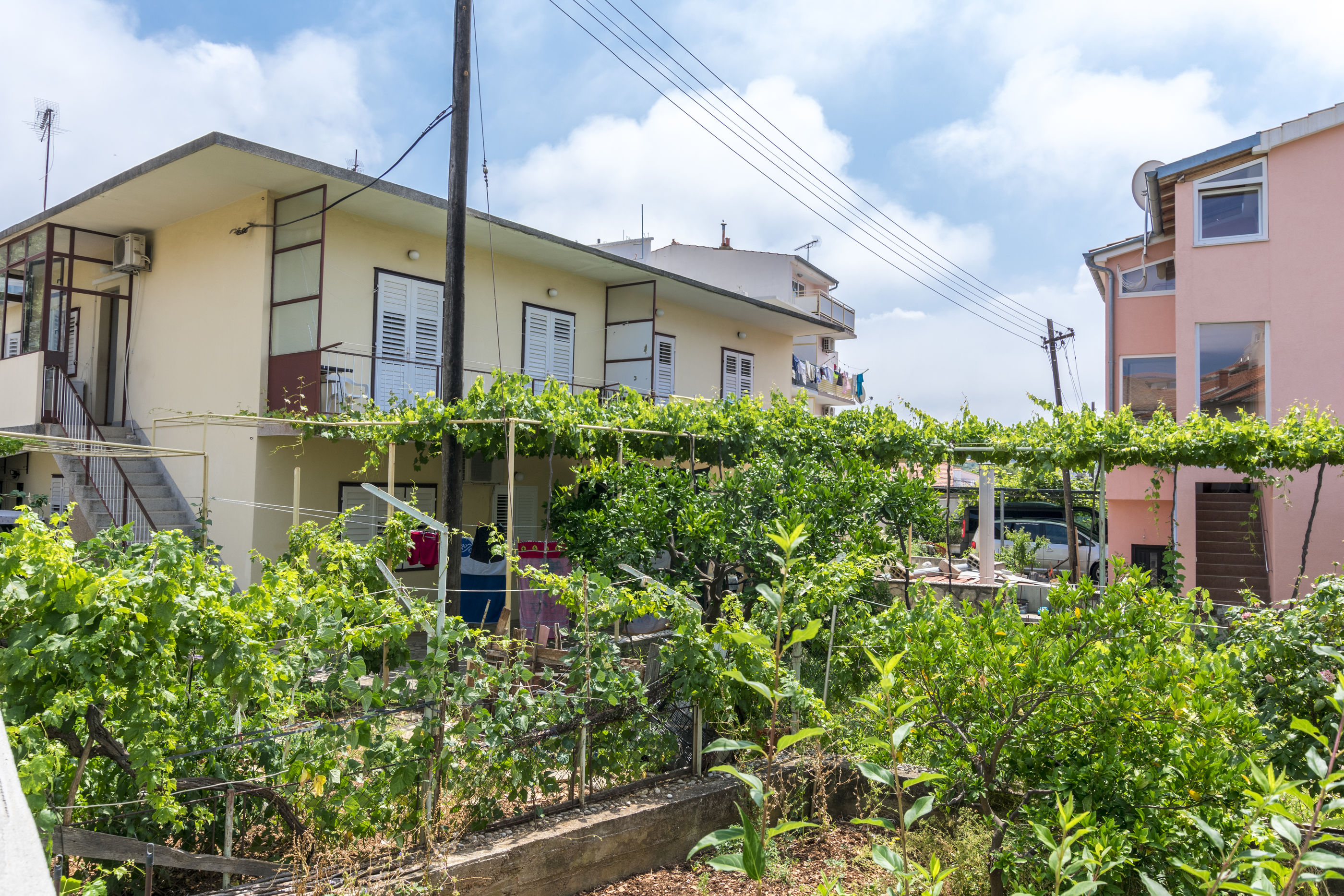 Apartment Eva P. 51551-A1