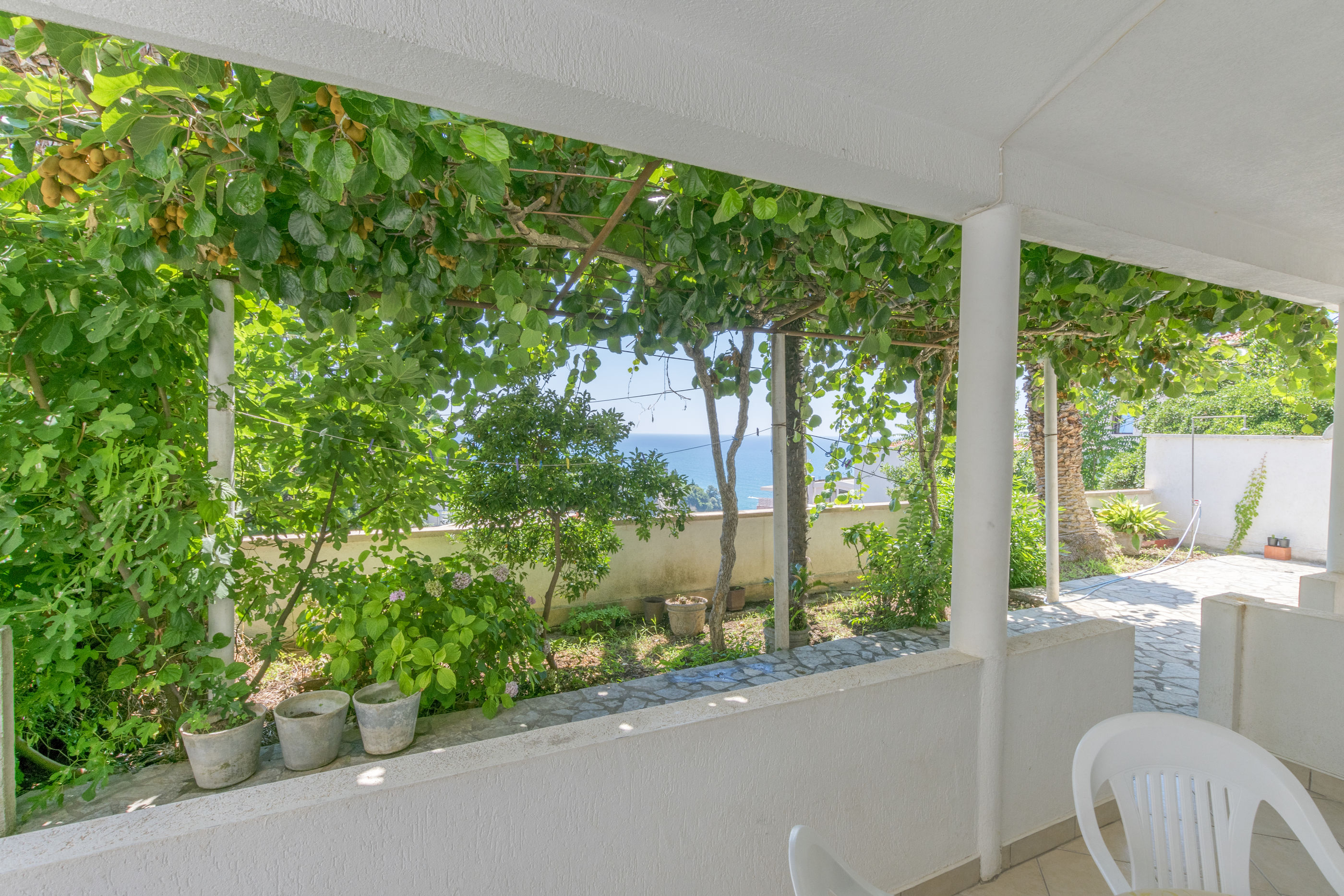 Apartments Aleksandar 93241-A1