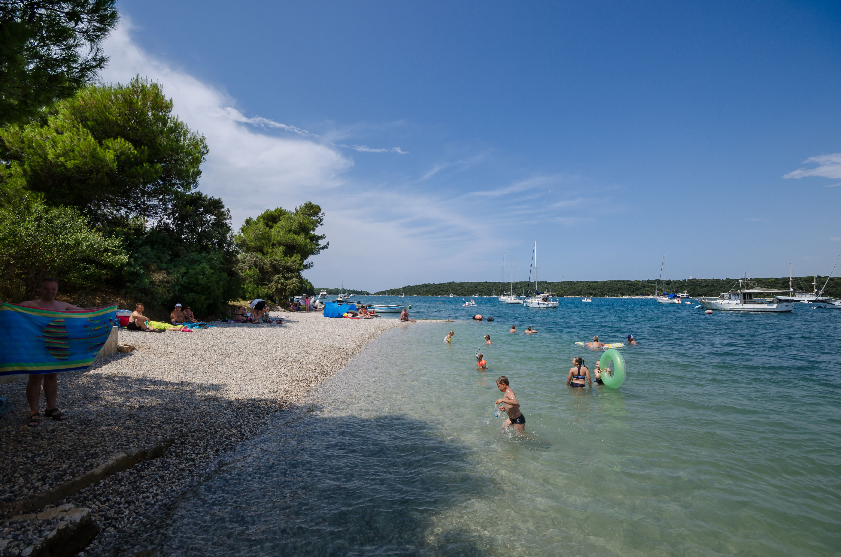 Photo of Apartments Drago